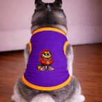 Petite Pati Mor Garf Köpek Tshirt Köpek Kıyafeti (%100 Pamuk Penye) Kucuk ve Buyuk Irklar