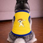 Petite Pati Sari Naruto Köpek Tshirt Köpek Kıyafeti (%100 Pamuk Penye) Kucuk ve Buyuk Irklar - Sarı - XL
