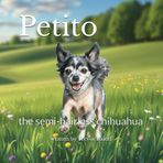Petito the Semi-Hairless Chihuahua