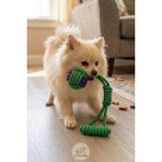 Petolojim Köpekler Için Dayanıklı Ip Örgü Interaktif Oyuncak - Renkli