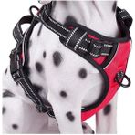 Petoys Kırmızı Xl Orta ve Büyük Dış Mekan Güvenlik Yansıtıcı Yelek Tarzı Köpek Koşum Takımı (Yurt Dışından)