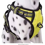 Petoys Sarı Xl Orta ve Büyük Dış Mekan Güvenlik Yansıtıcı Yelek Tarzı Köpek Koşum Takımı (Yurt Dışından)