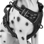 Petoys Siyah Xl Orta ve Büyük Dış Mekan Güvenlik Yansıtıcı Yelek Tarzı Köpek Koşum Takımı (Yurt Dışından)