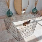 Petpretty 60X54 cm Köpek Orta Bahçe Çiti