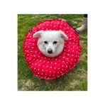 Petris Kedi Köpek Huni Operasyon Boyunluk,Yakalık,Yastık,koruyucu Elizabeth(XL Dış kenar çapı:45 cm)%100 koruma 07