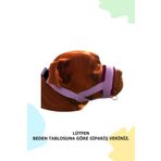 PET'S GO Köpek Ağızlığı LARGE Lila Büyük Irk