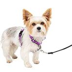 PetSafe 3'ü 1 arada köpek koşum takımı, çekilmez, araba kemeri için köpek koşum takımı, araba köpek koşum takımı, reflektörler, tabak sapı, XS beden, siyah, mavi, lila