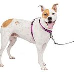 PetSafe 3'ü 1 arada köpek koşum takımı, çekmez, araba kemeri için köpek koşum takımı, köpek koşum takımı, köpek koşum takımı, reflektörler, bulaşık sapı, boyut M, siyah, mavi, mor