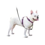 PetSafe 3'ü 1 arada köpek koşum takımı, çekmez, araba kemeri için köpek koşum takımı, köpek koşum takımı, köpek koşum takımı, reflektörler, bulaşık sapı, S beden, siyah, mavi, mor