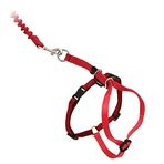 PetSafe Come with Me Kitty yemek takımı ve bungee tasması, kediler için yemek takımı, büyük, kırmızı/kızılcık