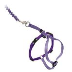 PetSafe Come with Me Kitty yemek takımı ve Bungee tasması, kediler için yemek takımı, büyük, mor / açık mor