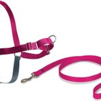 PetSafe Easy Walk köpek tasması XS pembe, 1,8 m tasma, çekmez, çok küçük köpekler ve yavrular için