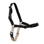 PetSafe Easy Walk No-Pull Köpek Göğüs Tasması, Çekmeyi Önlemeye Yardımcı, Kontrolü Ele Alın ve Tasmayla Daha İyi Yürümeyi Öğretin, Evcil Hayvanların Çekmesini Önlemeye Yardımcı, Petite/S, Siyah/Gümüş