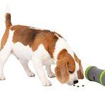 PetSafe Kibble Chase kendiliğinden hareket eden ödül oyuncağı, köpekler için tekerlekli atıştırmalık dağıtıcı, 3 AA pil gereklidir, 1 adet (1'li paket)