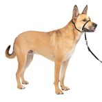 PetSafe Yumuşak Kılavuz Boyun Bandı Antrenman DVD'si ile