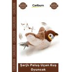 #Petshop Kedi Avcılık İçgüdüsü Tetikleyici Kanat Çırpan Sesli Usb Şarjlı İpli Peluş Uçan Kuş Oyuncak