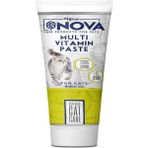 Petsiva Nova Kediler Için Multivitamin Paste 100GR