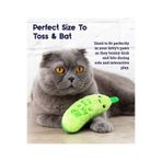 PetStages Crunch Pickle Kicker Dental Catnipli Kedi Çiğneme Oyuncağı - Diş Sağlığını Destekleyici!