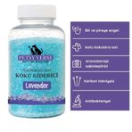 Petsy Verse Lavanta Kokulu 220 gr Kedi Kumu Koku Giderici
