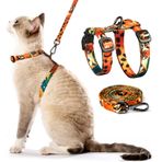 PetThem Kedi Koşum Takımı ve Tasma Seti - Kedi için Kaçış Korumalı Yelek Koşum, Rahat, Yumuşak, Hafif, Küçük, Orta Büyük Kediler için Kolay Ayarlanabilir Kedi Yaka Koşum Takımı (Ormanın Kralı)