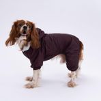 Pettrend Kahverengi Kürklü Tulum Yağmurluk Küçük Irk Yağmurluk Köpek Kıyafeti Köpek Yağmurluğu - L