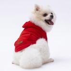 Pettrend Kırmızı Kanguru Cepli Kedi-Köpek Hoodie- Sweatshirt Kedi Köpek Kıyafeti - 5XL