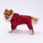 Pettrend Kırmızı Kürklü Tulum Yağmurluk Küçük Irk Yağmurluk Köpek Kıyafeti Köpek Yağmurluğu