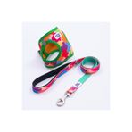 Pettrend Rainbow Crew Göğüs Tasması ve Sevk Kayışı Tasma Seti Renkli Kedi Köpek Göğüs Tasması Seti