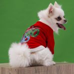 Pettrend Yılbaşı Noel Kedi Köpek Kıyafeti Sweat Elbisesi Kostümü - XL