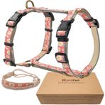 Pettsie No-Pull köpek koşum takımı, yansıtıcı, 4 ayarlanabilir kayış, 2 keten klips ile kolay kontrol, uygun arkadaşlık bilekliği, hassas ciltler için yumuşak kenevir, hediye kutusu