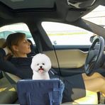 PETTY COMFORT 3 Fonksiyonlu Konsol taşıma Çantası-köpek araba koltuğu-köpek Yatağı-evde Dışarda Arabada (Antrasit)