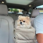 PETTY COMFORT 3 Fonksiyonlu Konsol taşıma Çantası-köpek araba koltuğu-köpek Yatağı-evde Dışarda Arabada (Bej kazayağı)