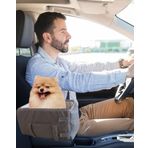 PETTY COMFORT 3 Fonksiyonlu Konsol taşıma Çantası-köpek araba koltuğu-köpek Yatağı-evde Dışarda Arabada (Bej)