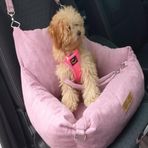 PETTY COMFORT Köpek Oto Koltuğu-köpek Seyahat Koltuğu-ayarlanabilir Çift Kordon-köpek Kedi Yatağı-taşınabilir (Pembe Medium)