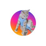 Petwinn Ameliyat Sonrası Koruyucu Kedi Köpek Tulumu Kolsuz Sırttan Cırtlı Giysi