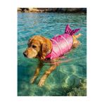 Petza Köpek Can Yeleği Blush