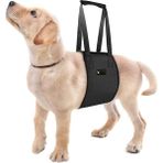 Petza Köpek Kaldırma Kayışı Moppa - S - Renkli