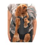 Petza Köpek Taşıma Köpek Ana Kucağı - Kedi Ana Kucağı Denim Gri, S