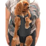 Petza Köpek Taşıma Köpek Ana Kucağı - Kedi Ana Kucağı Denim Gri
