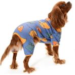 Petza Küçük ve Orta Irk Köpek Pijama Tulum - Adumo - Köpek Kıyafeti - Renkli - 2XL