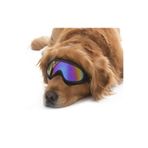 Petza Orta ve Büyük Irk Köpek Güneş Gözlüğü Kaapo