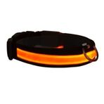 Petzz Işıklı Ayarlanabilir Flaşörlü Kırmızı 40-48 cm 2.5 cm Kedi ve Köpek Boyun Tasması