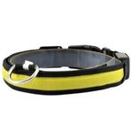 Petzz Işıklı Ayarlanabilir Flaşörlü Sarı 45-52 cm 2.5 cm Kedi ve Köpek Boyun Tasması