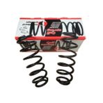 PEUGEOT 307- 06/08 ARKA HELEZON YAYI R/L (2Lİ SET)(11,75X108) (STDR)