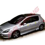 Peugeot 307 Tk 2001 Üzeri Paslanmaz Çelik 4 Parça Krom Cam Çıtası