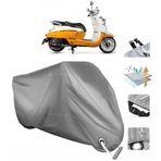 Peugeot Django 125 VINLEKS Motor Brandası