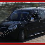 Peugeot Partner Abs 1996-2008 2 Prç Krom Ayna Kapağı