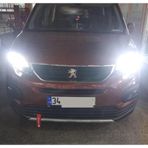Peugeot Rifter Araçlar için Led Xenon Kısa Far Aydınlatma Ampulu FEMEX Premio Plus H7