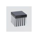 Peyless Katlanabilir Hediye Kutusu Xs 10*10 Cm