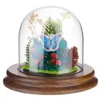 PH PandaHall Cloche Cam Kubbe Ekran Şeffaf Kubbe Tabanlı Mini Vitrin Kristal Masa Üstü Cam Zil Saat ve Takı Sunumu için 10 cm Genişlik